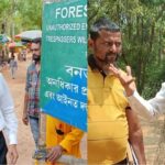 সোনাঝুরিতে একের পর এক গাছ কেটে সাফ! ‘আত্মহত্যার শামিল’, মন্তব্য পরিবেশপ্রেমী সুভাষ দত্তের