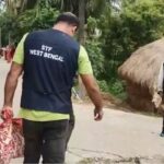 পুকুর ছেঁচে উঠল বন্দুক-কার্তুজ! সন্দেশখালিতে শাহজাহান-অনুগামীর ডেরায় STF-এর মেগা অপারেশন