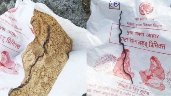অঙ্গনওয়াড়ির পুষ্টিকর খাবারের প্যাকেটে আস্ত মরা সাপ! একরত্তি বিষ মেশানো লাড্ডু দেওয়া হলো অন্তঃসত্ত্বাকে, তারপর যা ঘটল…