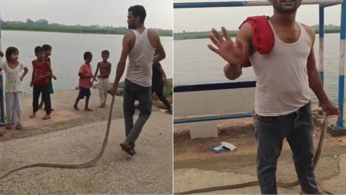 হাতে জীবন্ত সাপ, শরীরে বিষের যন্ত্রণা! মালদহের যুবকের কাণ্ডে তোলপাড় নেটপাড়া