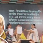 ‘বেচারা নীতীশ কুমার!’ বিজেপির ‘খপ্পরে’ পড়ে জেডিইউ প্রধানের দশা নিয়ে কটাক্ষ মমতার