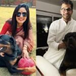 পোষ্য হেনরিকে নিয়ে মহুয়া-জয়ের লড়াই! তৃণমূল সাংসদের জবাব তলব দিল্লি হাইকোর্টের