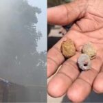 ভোটের মুখে নোয়াপাড়া থানা চত্বরেই বিকট শব্দে বিস্ফোরণ! তীব্র আতঙ্ক শিল্পাঞ্চলে