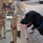 কলকাতা পুলিশের চার ‘বিস্ফোরক বিশেষজ্ঞ’: ভোটের ডিউটি দিয়েই হাতেখড়ি ইনা-টিনাদের