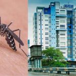 ভোট-আবহেই ডেঙ্গু মোকাবিলায় প্রস্তুতি শুরু রাজ্যের, পূর্ত দফতরকে একগুচ্ছ নির্দেশিকা নবান্নের
