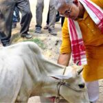 ‘গরুর দুধে সোনা’র পর এবার ব্লাড প্রেশার! গোমাতা নিয়ে মন্ত্রী দিলীপের নয়া দাওয়াই