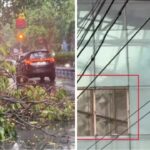 ঝড়ের তাণ্ডবে তছনছ তিলোত্তমা! উড়ল মেট্রোর শেড, শিয়ালদহ শাখায় ট্রেন চলাচল সম্পূর্ণ স্তব্ধ