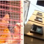 গল্ফ গ্রিনের ফ্ল্যাটে জোড়া লাশ! পচা গন্ধের উৎস খুঁজতে দরজা ভাঙতেই চক্ষু চড়কগাছ পুলিশের, উদ্ধার অর্ধউলঙ্গ ‘লিভ ইন কাপল’!