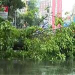 মাত্র ১ ঘণ্টার বৃষ্টিতেই বানভাসি তিলোত্তমা! চাঁদনি চকে ছিঁড়ল বিদ্যুতের তার, নিট পরীক্ষার্থীদের চরম ভোগান্তি