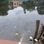 বারুইপুর-অশোকনগরের পর এবার খাস কলকাতা! পর্ণশ্রীর পুকুরে মিলল লাশ, খুনের পর দেহ লোপাটের আশঙ্কা