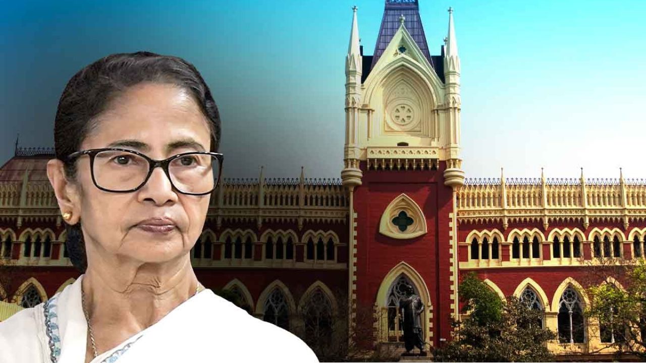 ফ্রিজ হওয়া ব্যাঙ্ক অ্যাকাউন্টে আংশিক ছাড়, কালীঘাট তৃণমূলকে অনুমতি দিল হাই কোর্ট