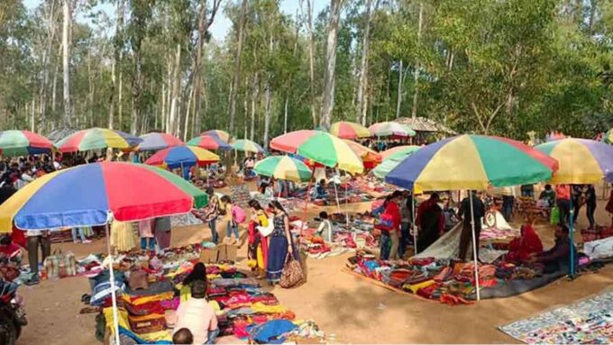 ‘হাট বন্ধ হলে পথে বসবে হাজার হাজার পরিবার’, সোনাঝুরি বাঁচাতে এনজিটিতে আবেদন হস্তশিল্পীদের