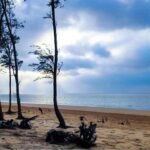 Travel: দিঘা-পুরীর ভিড় ছেড়ে এবার সমুদ্রের নিরালায়! ওড়িশার এই নিরিবিলি সৈকতে কাটান দু’দিনের ছুটি